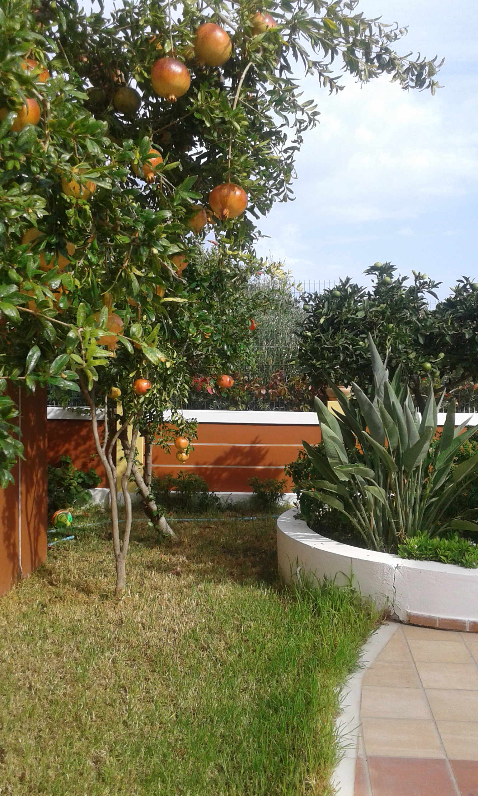 Astra Village Koutouloufari, Crete