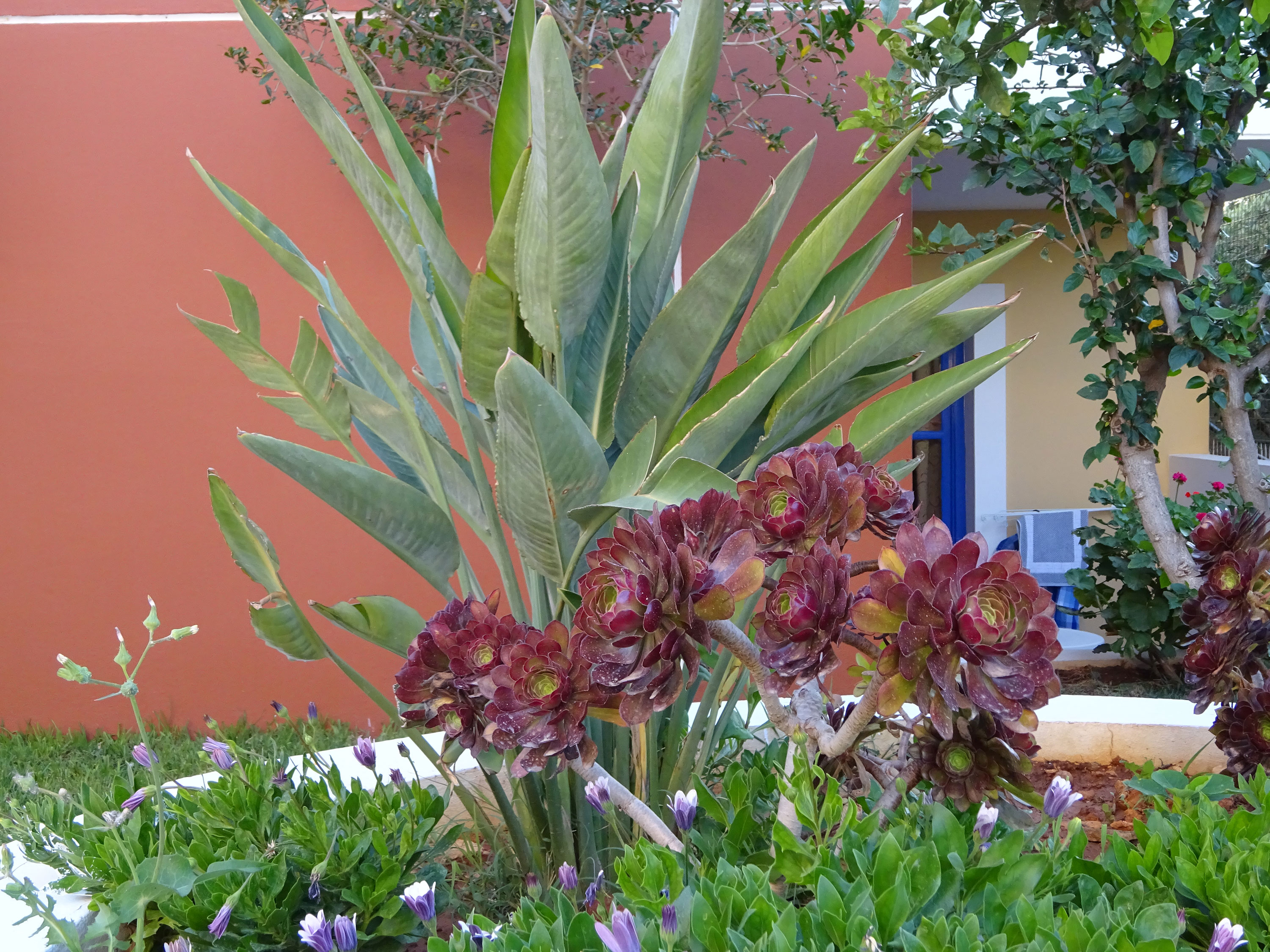 Astra Village Koutouloufari, Crete